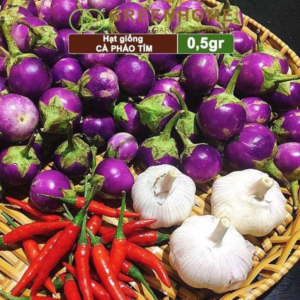 Hạt giống Cà pháo tím