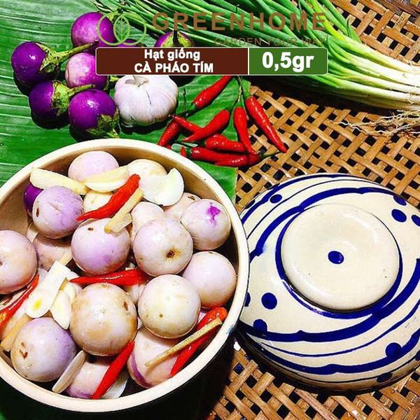 Hạt giống Cà pháo tím