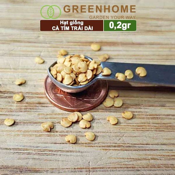 Hạt giống Cà tím