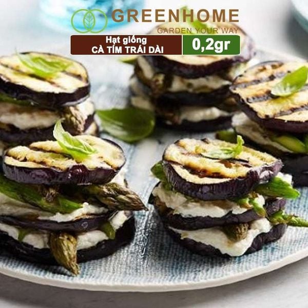 Hạt giống Cà tím