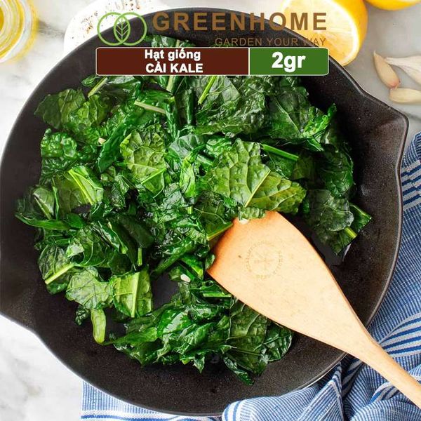 Hạt giống Cải xoăn Kale, 2gr, dễ trồng, giàu dinh dưỡng R16