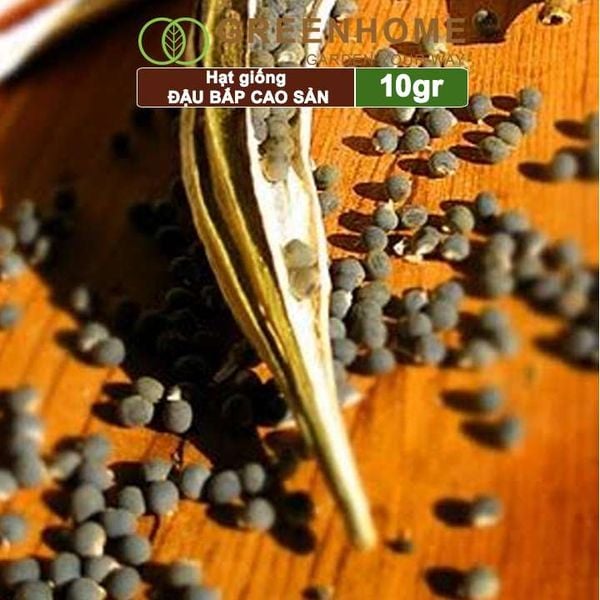 Hạt giống Đậu Bắp