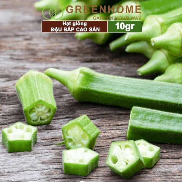 Hạt giống Đậu Bắp