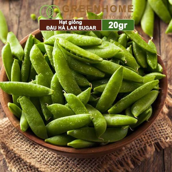 Hạt giống Đậu Hà Lan