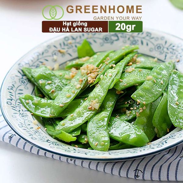 Hạt giống Đậu Hà Lan