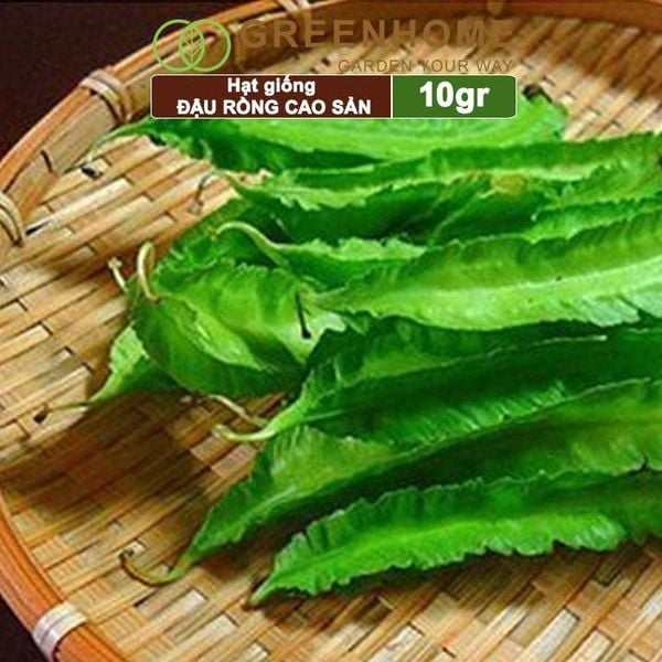 Hạt giống Đậu Rồng