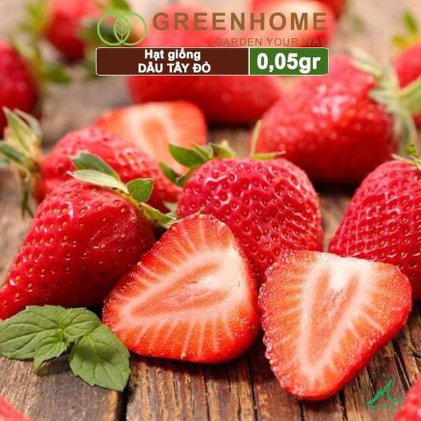 Hạt giống Dâu tây đỏ