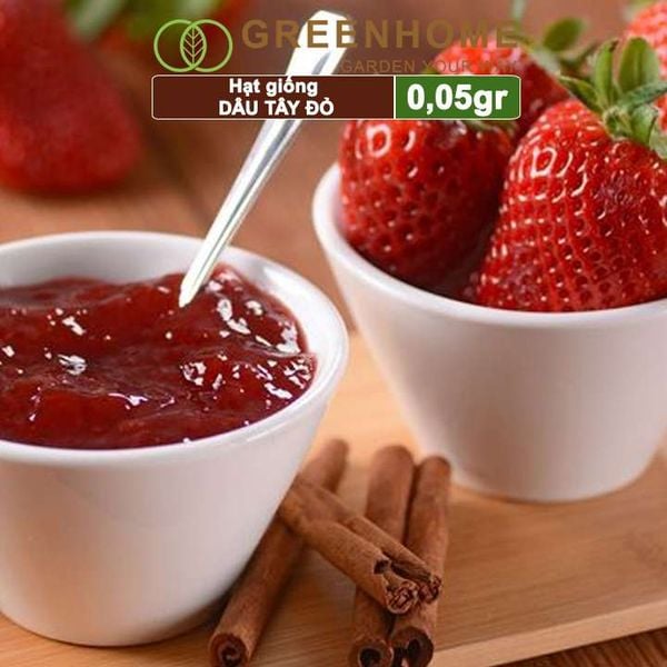 Hạt giống Dâu tây đỏ