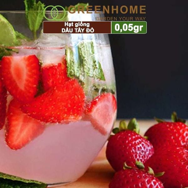 Hạt giống Dâu tây đỏ
