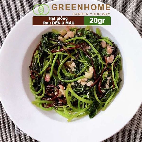 Hạt giống Rau Dền