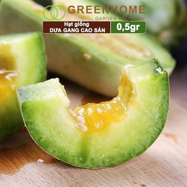 Hạt giống Dưa gang Greenhome, gói 0,5gr, trái dài, thơm, ngon, trồng quanh năm T04