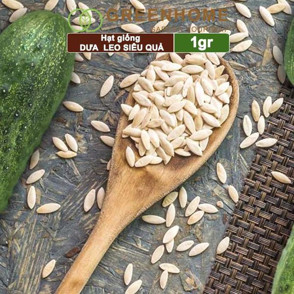 Hạt giống Dưa leo