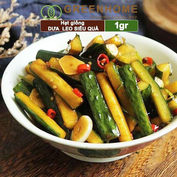 Hạt giống Dưa leo