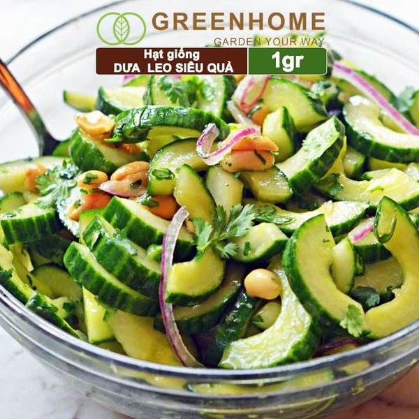 Hạt giống Dưa leo