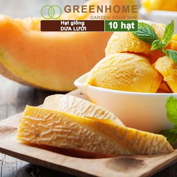 Hạt giống Dưa lưới ruột vàng