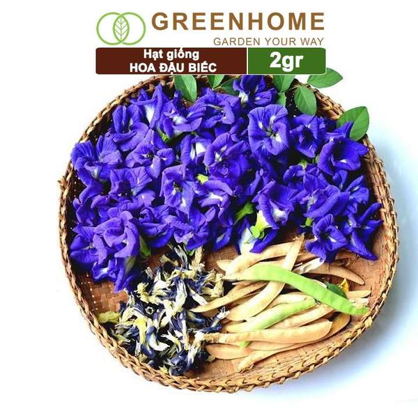 Hạt giống hoa Đậu biếc