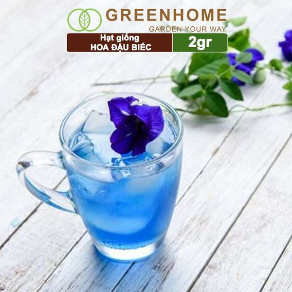 Hạt giống hoa Đậu biếc