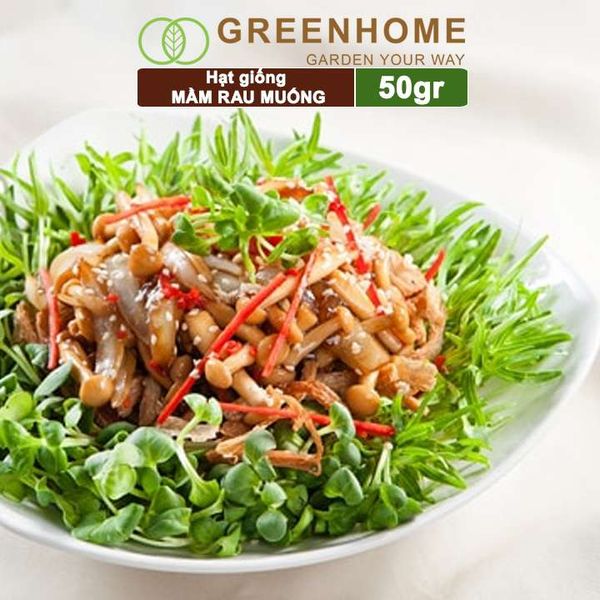 Hạt giống Mầm rau muống