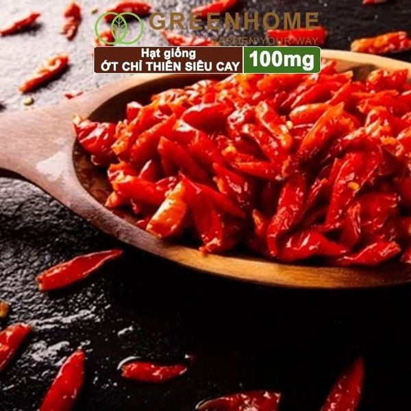 Hạt giống Ớt chỉ thiên