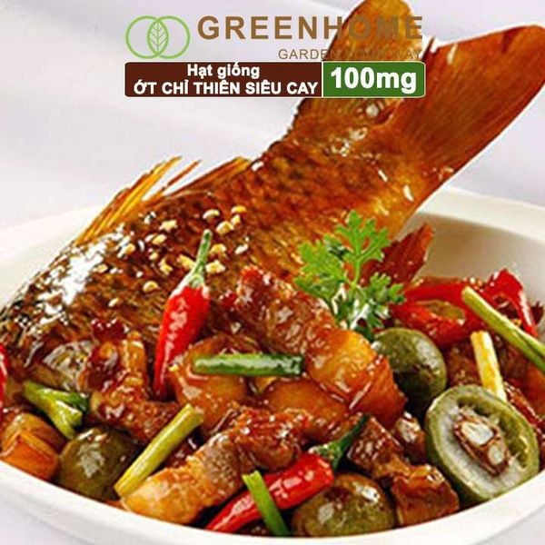 Hạt giống Ớt chỉ thiên