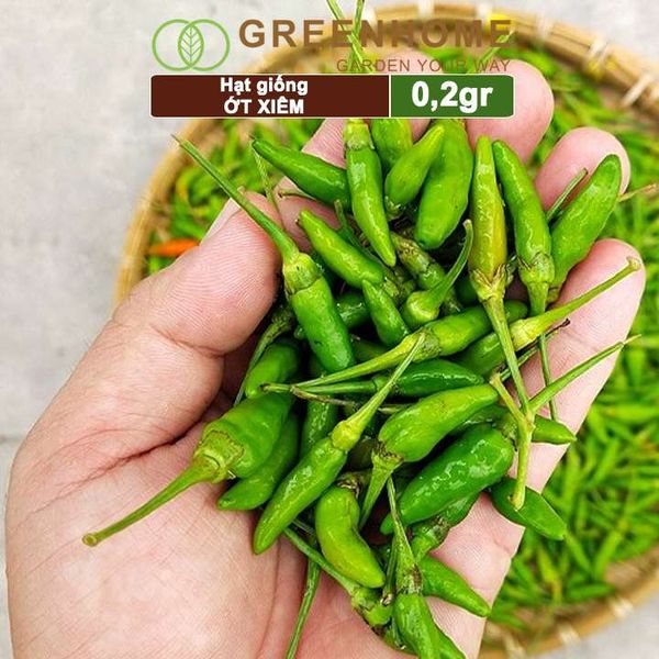 Hạt giống Ớt xiêm, gói 0,2gr, dễ trồng, sai trái, siêu cay G09 |Greenhome