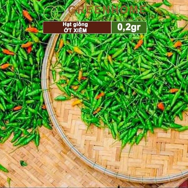 Hạt giống Ớt xiêm, gói 0,2gr, dễ trồng, sai trái, siêu cay G09 |Greenhome