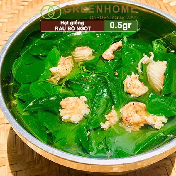 Hạt Giống Rau Bồ Ngót, Gói 1gr, Dễ Trồng, Dinh Dưỡng, Năng Suất Cao R18