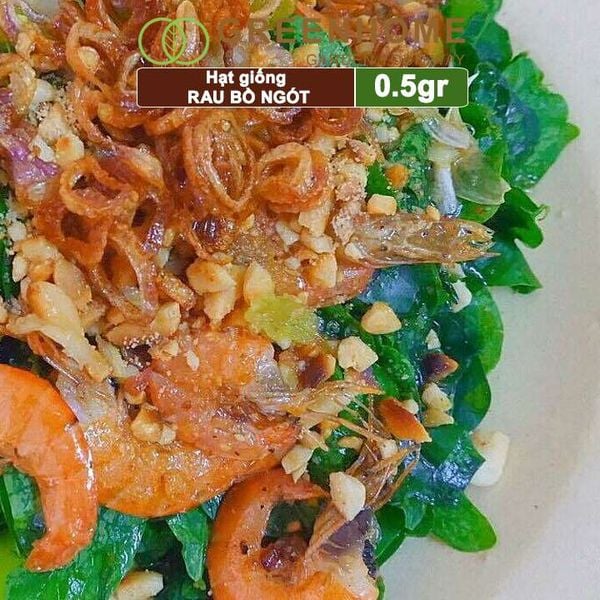 Hạt Giống Rau Bồ Ngót, Gói 1gr, Dễ Trồng, Dinh Dưỡng, Năng Suất Cao R18