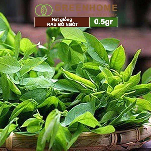 Hạt Giống Rau Bồ Ngót, Gói 1gr, Dễ Trồng, Dinh Dưỡng, Năng Suất Cao R18