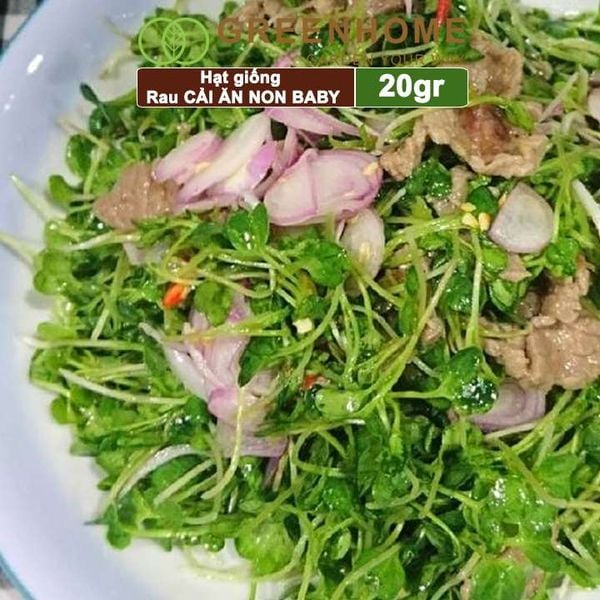 Hạt giống rau Cải ăn non baby, gói 20g, dễ trồng, thu hoạch nhanh R05 |Greenhome