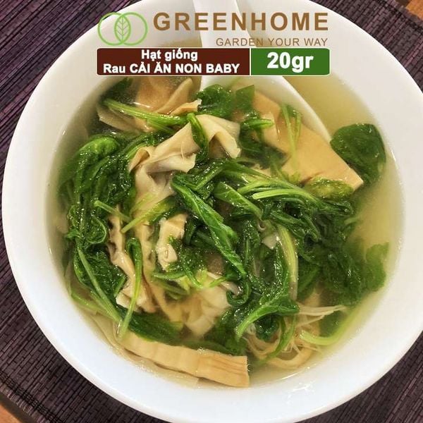 Hạt giống rau Cải ăn non baby, gói 20g, dễ trồng, thu hoạch nhanh R05 |Greenhome