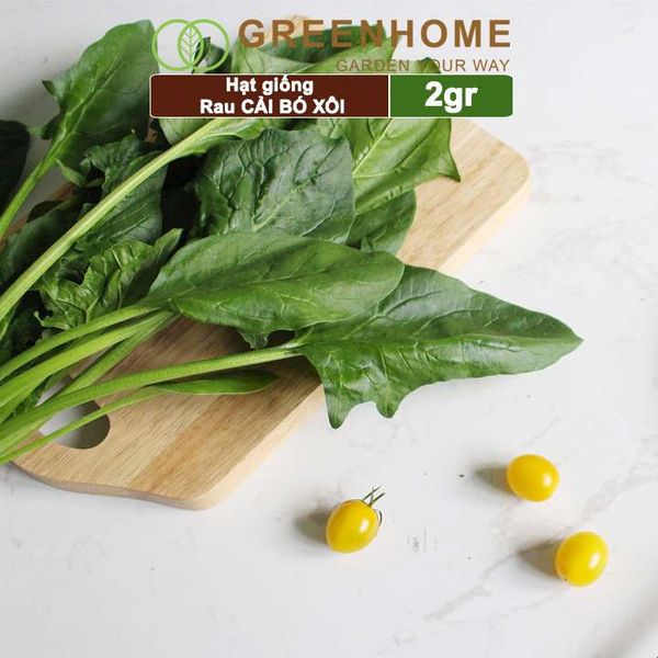 Hạt giống rau Cải bó xôi