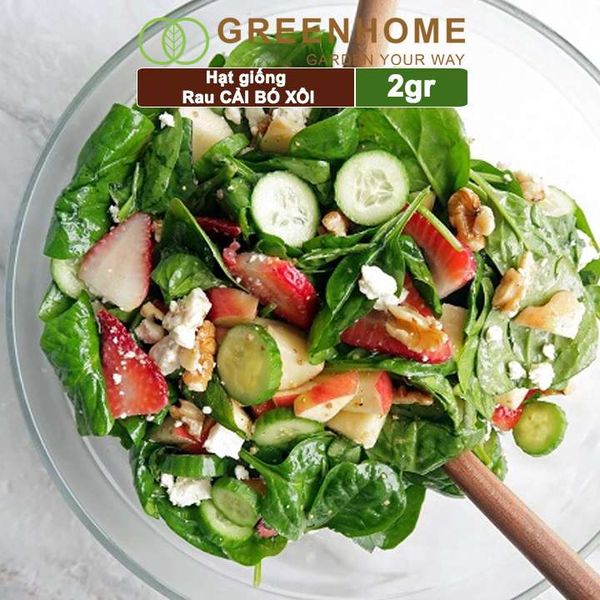 Hạt giống rau Cải bó xôi