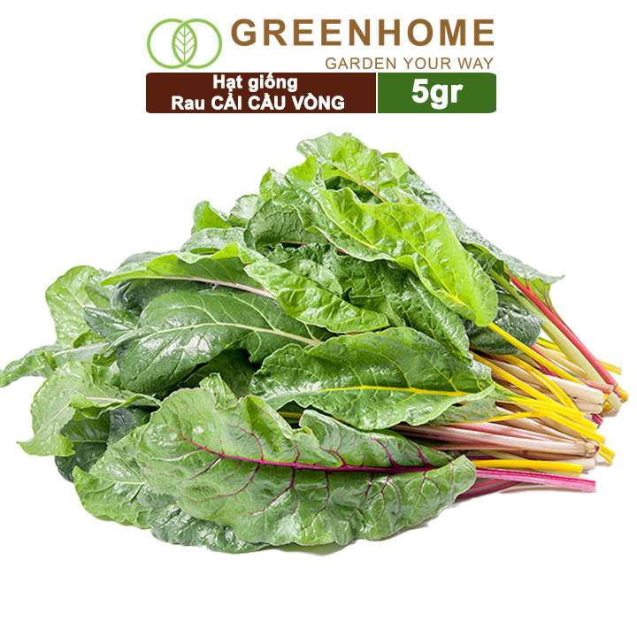 Hạt Giống Rau Cải Cầu Vồng, Gói 20g, Dễ Trồng Quanh Năm, Nảy Mầm Cao, Thu Hoạch Nhanh, Năng Suất Cao R06