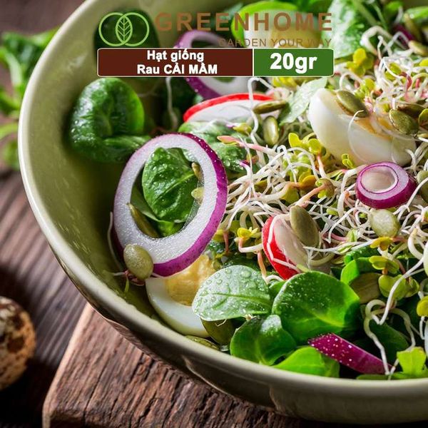 Hạt giống rau Cải mầm