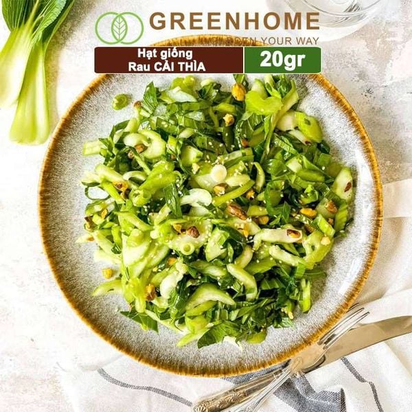 Hạt giống rau Cải thìa cao sản, gói 20gr, nẩy mầm khỏe năng suất cao R08