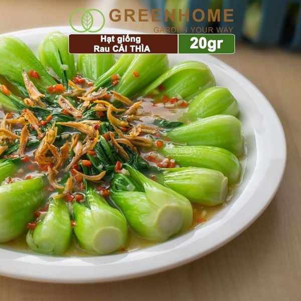 Hạt giống rau Cải thìa cao sản, gói 20gr, nẩy mầm khỏe năng suất cao R08