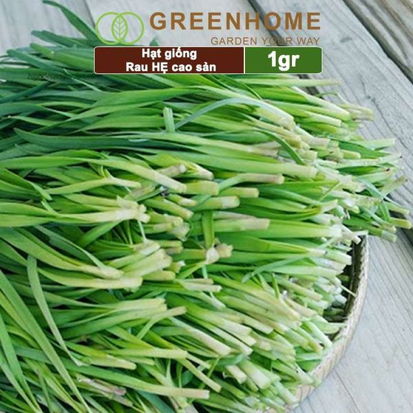 Hạt giống Hẹ cao sản,