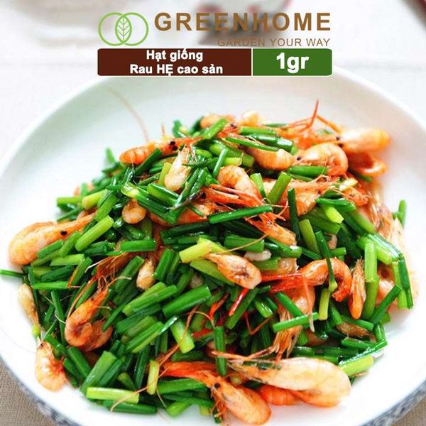 Hạt giống Hẹ cao sản,