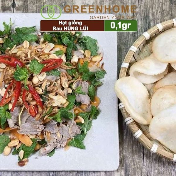 Hạt giống rau Bạc hà âu, húng lũi, gói 0,1g, dễ trồng, thu hoạch nhanh G02