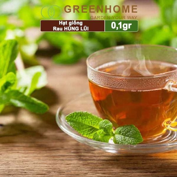 Hạt giống rau Bạc hà âu, húng lũi, gói 0,1g, dễ trồng, thu hoạch nhanh G02