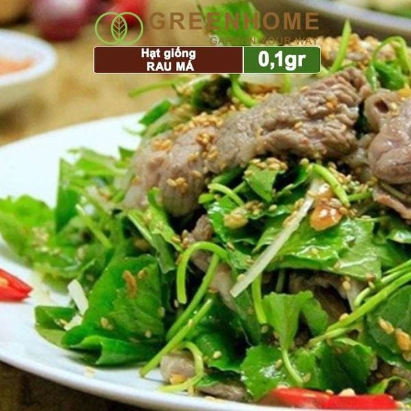 Hạt giống rau Má