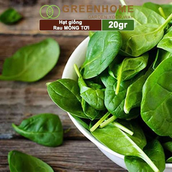 Hạt giống rau Mồng tơi