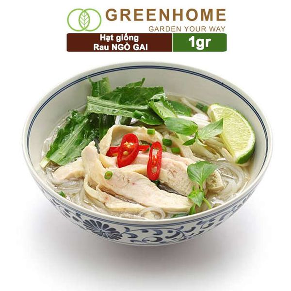 Hạt giống rau Ngò gai