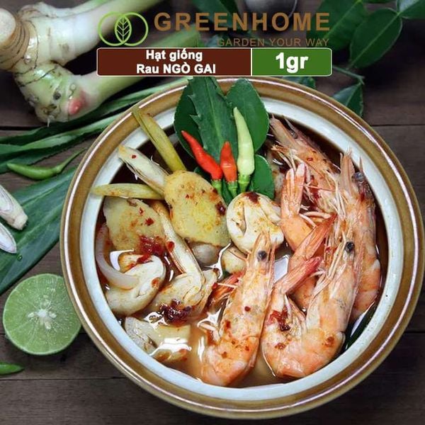 Hạt giống rau Ngò gai