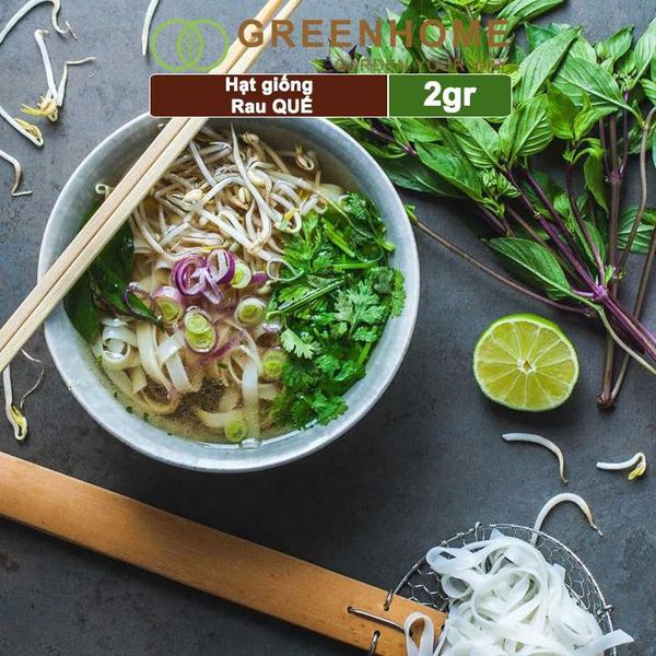 Hạt giống rau Quế