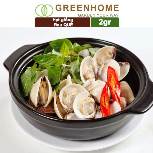 Hạt giống rau Quế