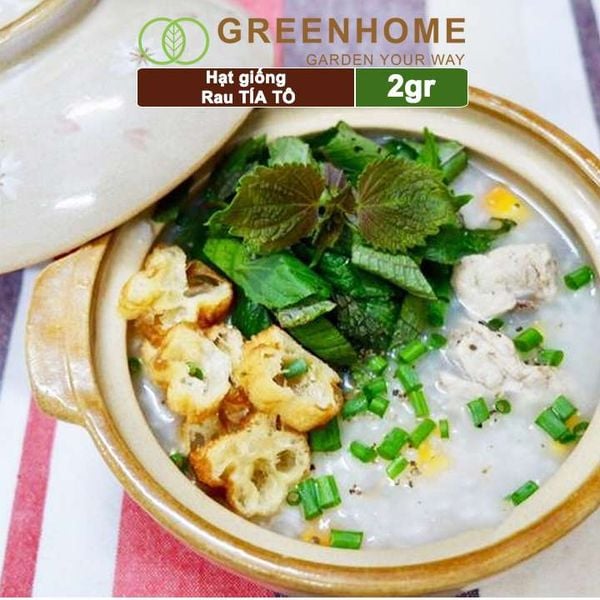 Hạt giống rau Tía tô