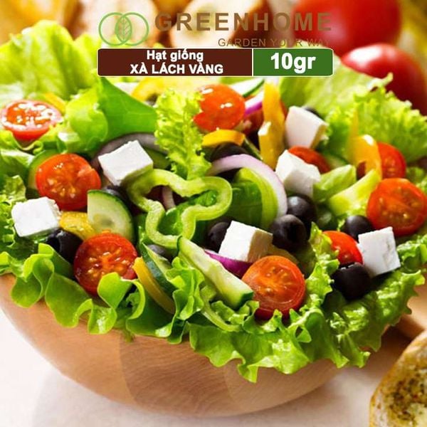 Hạt giống rau Xà lách vàng