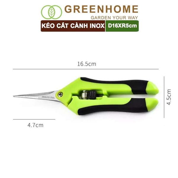 Kéo cắt cành, D15,5xR4,5cm, inox, mũi nhọn, màu đỏ, siêu bén, không gỉ, có khoá an toàn |Greenhome